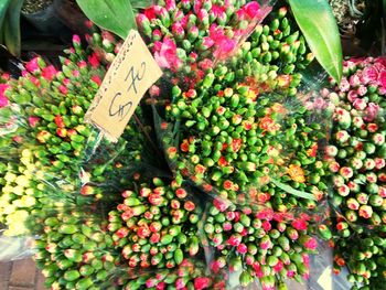 High angle view of flowers in market for sale