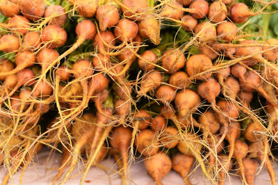 Vegetables for sale at market stall