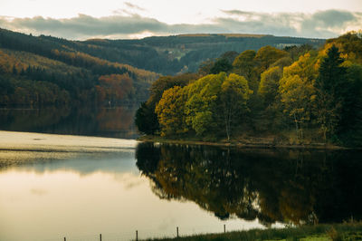 Scenic view of lake by trees against sky