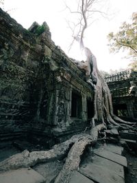 Low angle view of historical building