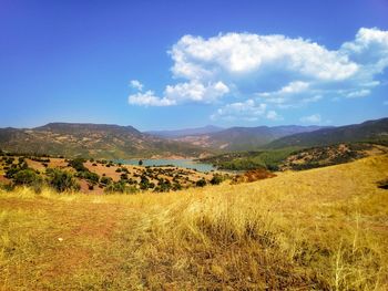 Scenic view of landscape against sky