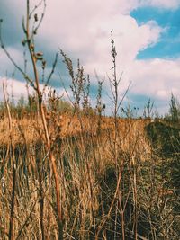 Scenic view of field against cloudy sky