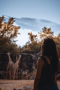 Rear view of woman standing by trees against sky