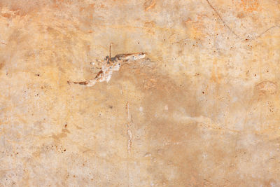 Texture of an old clay wall with cracks and scratches.