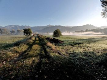 Scenic view of field against sky