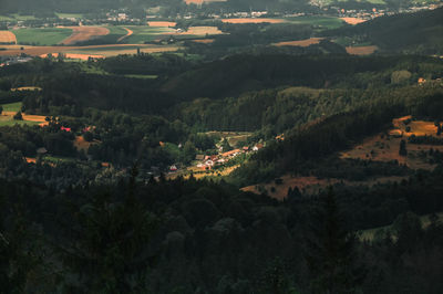 High angle view of trees on landscape