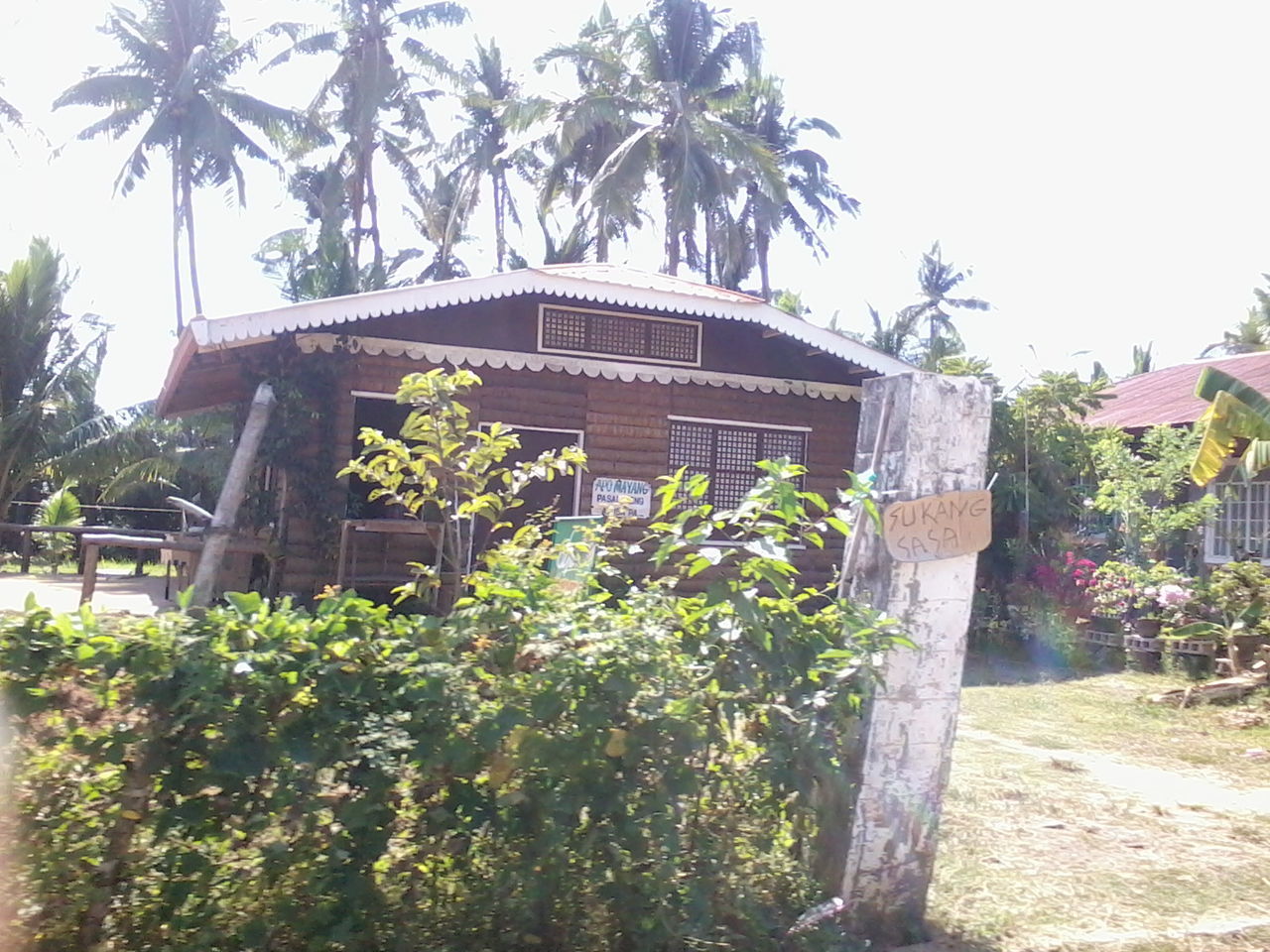 BUILT STRUCTURE AGAINST TREES