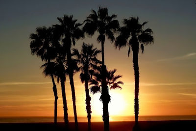 Silhouette trees against sea during sunset