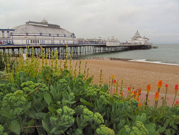 Eastbourne pier over sea