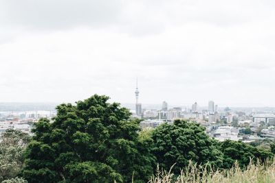Trees and cityscape against sky