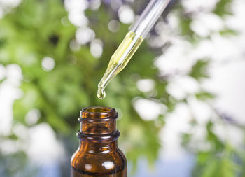 Close-up of dropper with essential oil over bottle