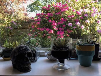 Potted plant in vase