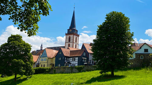 Trees and buildings against sky