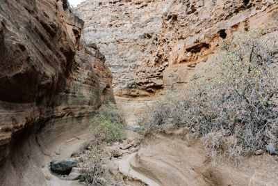 Close-up of rock formations