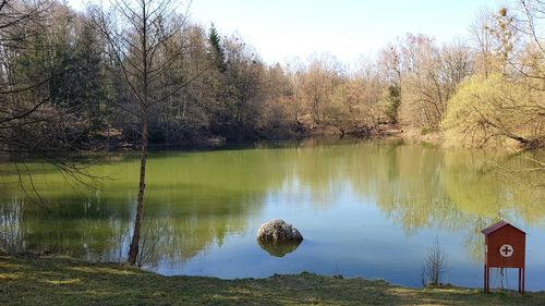 Scenic view of lake in forest against sky