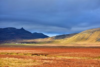 Scenic view of field against sky