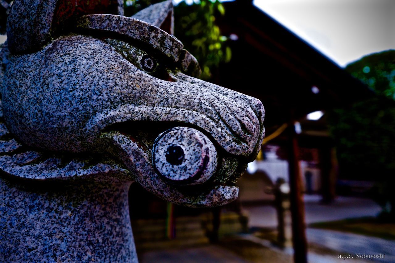 focus on foreground, close-up, art and craft, animal representation, creativity, blue, art, rope, day, outdoors, no people, wood - material, sunlight, sculpture, metal, part of, craft, tied up, fence