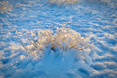 High angle view of snow covered land