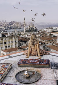 View of birds flying in city