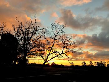 Silhouette bare tree against sky during sunset