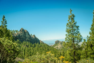 Scenic view of mountains against clear blue sky