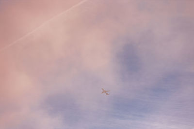 Low angle view of airplane flying in sky