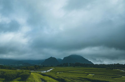 Scenic view of landscape against sky