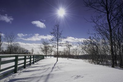 Bare trees on snow covered landscape