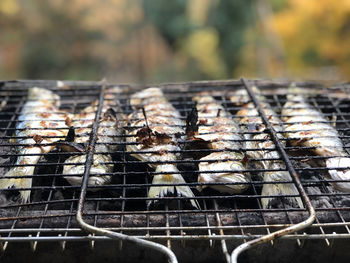 Close-up of barbecue grill