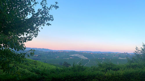 Scenic view of field against clear sky