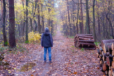 Rear view of man standing by trees in forest