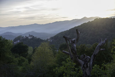 Scenic view of tree mountains against sky