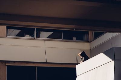 Low angle view of bird perching on building