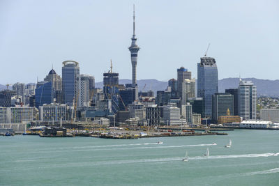 Skyline of auckland, a large city in the north island of new zealand