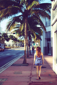 Rear view of woman walking on palm tree