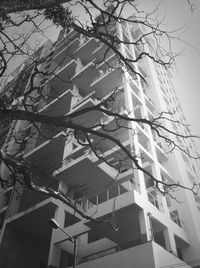 Low angle view of branches against clear sky