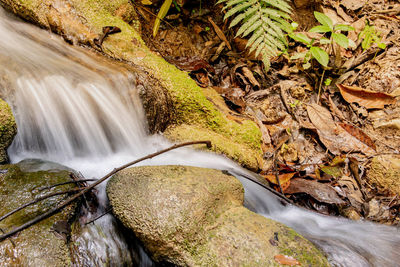 Scenic view of waterfall