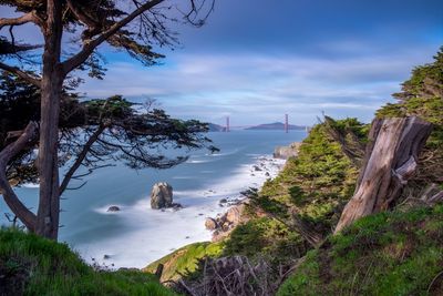 High angle view of trees and sea against sky