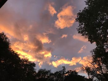 Low angle view of silhouette trees against sky at sunset