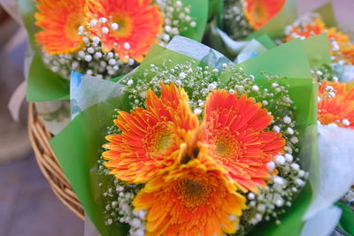 Close-up of orange flowering plant