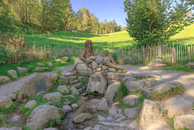 Statue on rock against trees