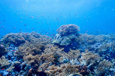 High angle view of sea against sky