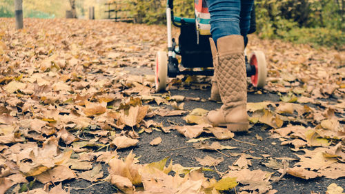 Low section of person walking with baby carriage