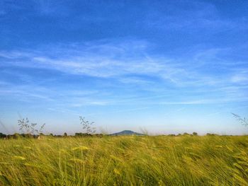 Scenic view of grassy field against cloudy sky