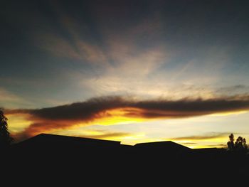 Silhouette of trees at sunset