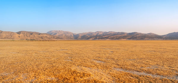 Scenic view of field against clear sky