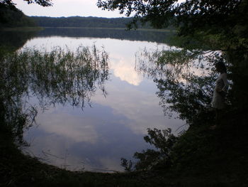 Reflection of trees in calm lake