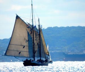 Boats sailing in sea