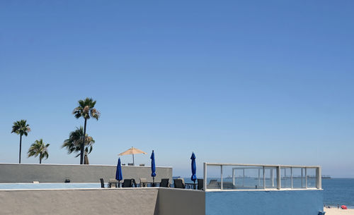 Palm trees at long beach, california