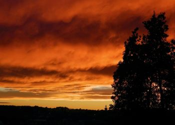 Silhouette of trees against cloudy sky